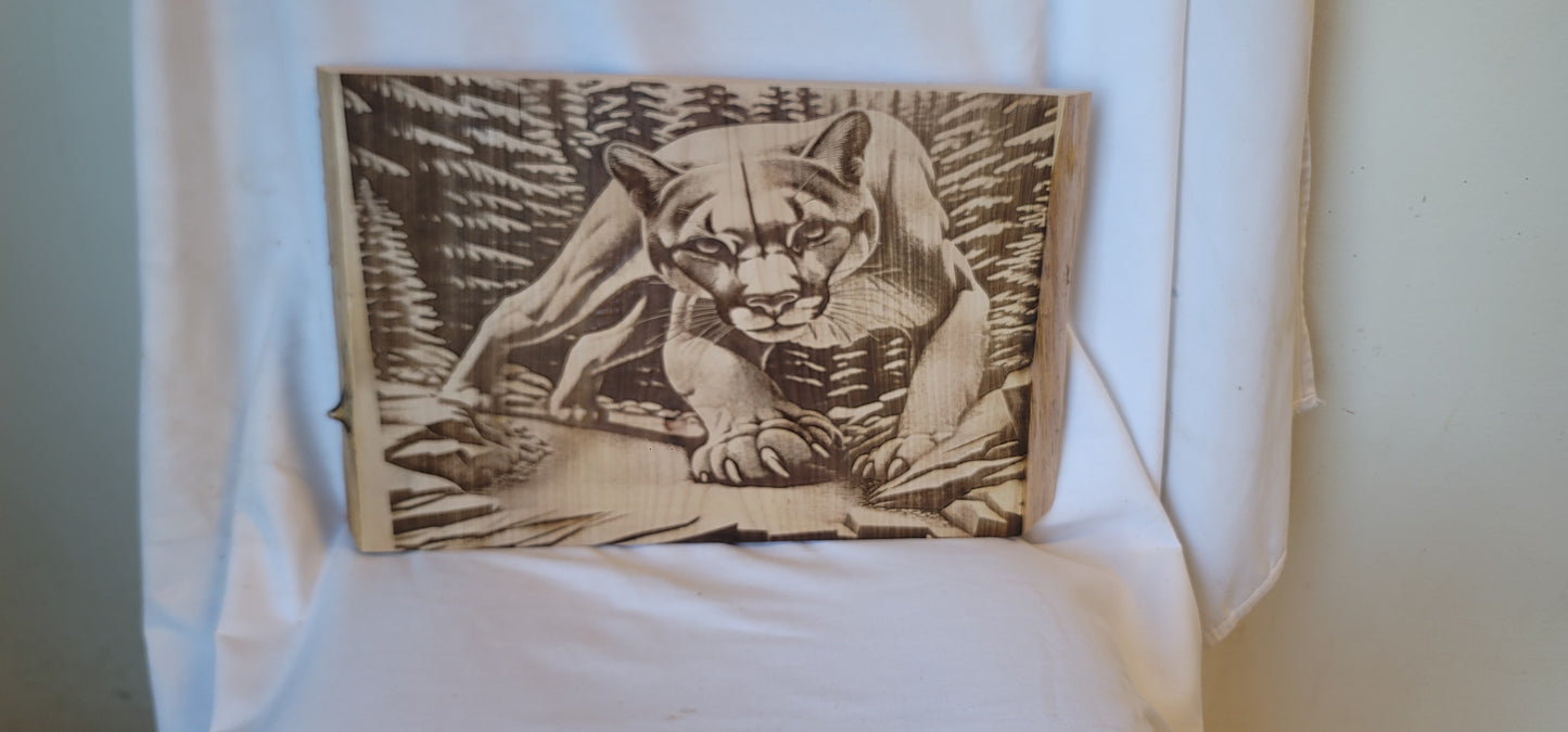 Custom 3d laser work