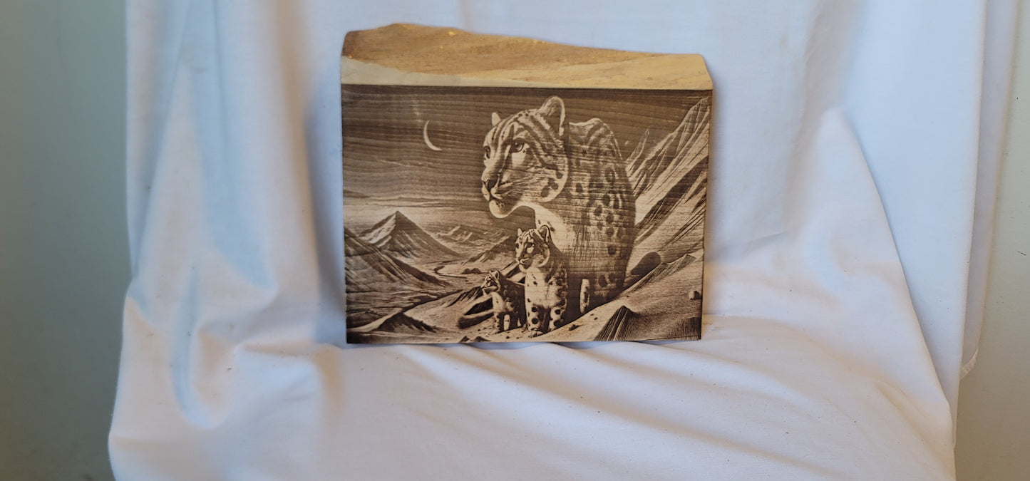 Custom 3d laser work